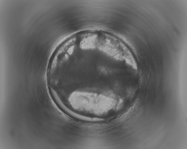 X0000111910943200909071154