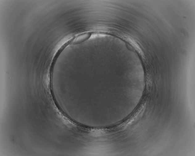 X0000111910944200909071154