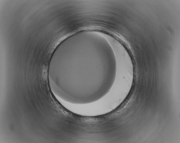 X0000111910945200909071154