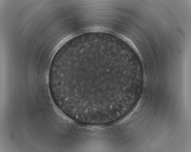 X0000111910946200909071154