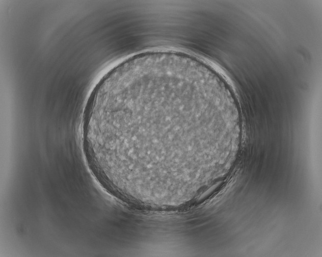 X0000111910951200909071154
