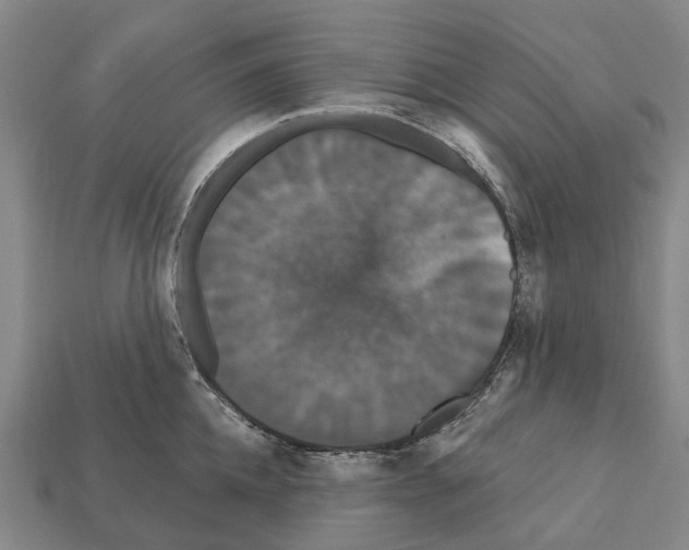 X0000111910952200909071154