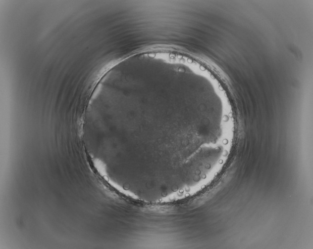 X0000111910953200909071154