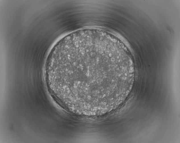 X0000111910955200909071154