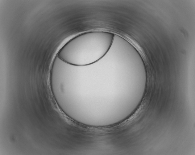 X0000111910956200909071154