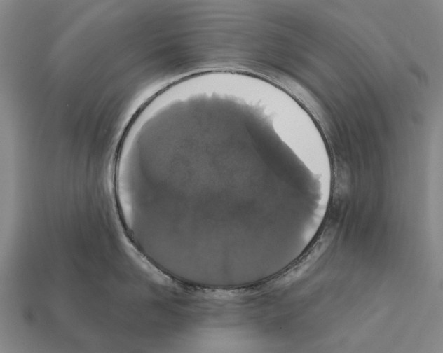 X0000111910958200909071154