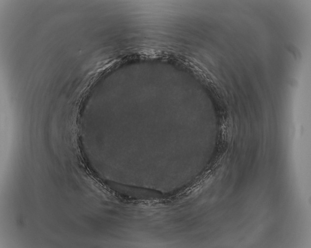 X0000111910961200909071153