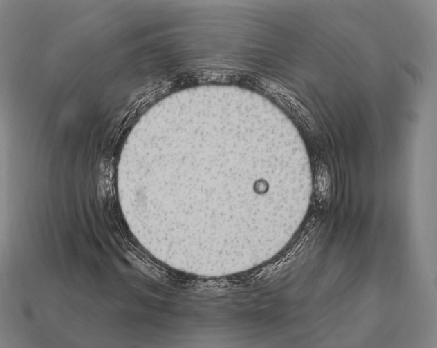 X0000111910964200909071153