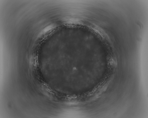X0000111910965200909071153