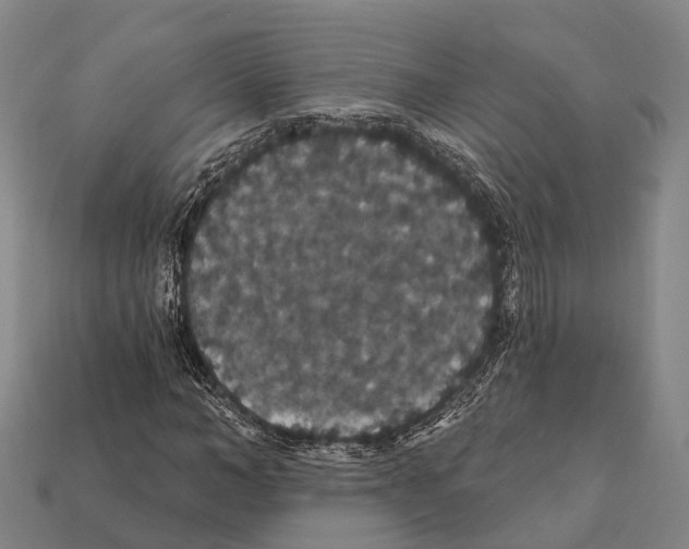 X0000111910966200909071153