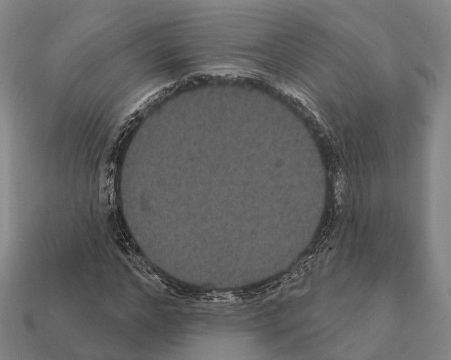 X0000111910968200909071153