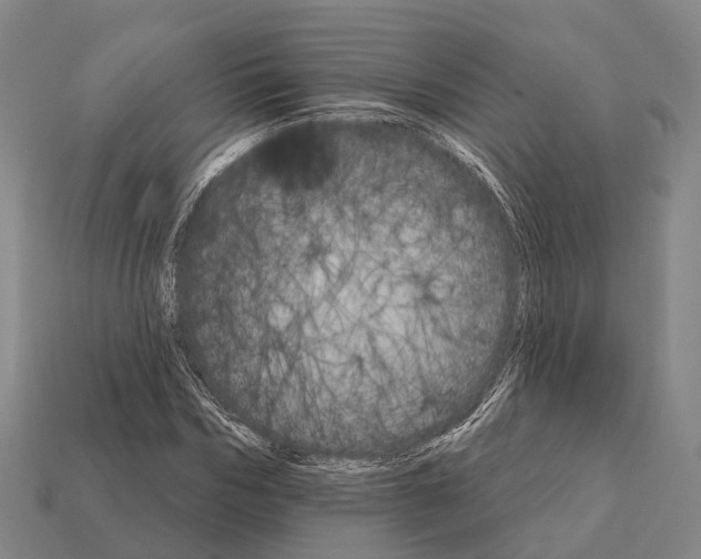 X0000111910970200909071153