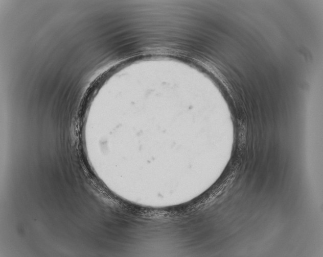 X0000111910971200909071153