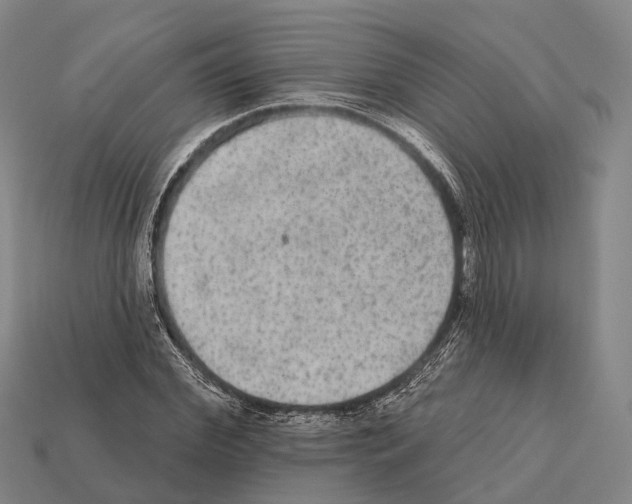 X0000111910972200909071153
