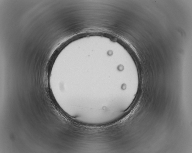 X0000111910973200909071153
