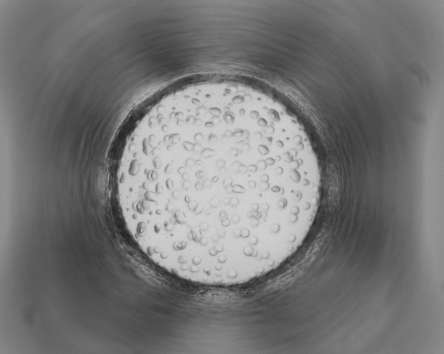 X0000111910974200909071153