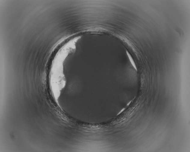 X0000111910975200909071153