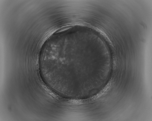 X0000111910977200909071153