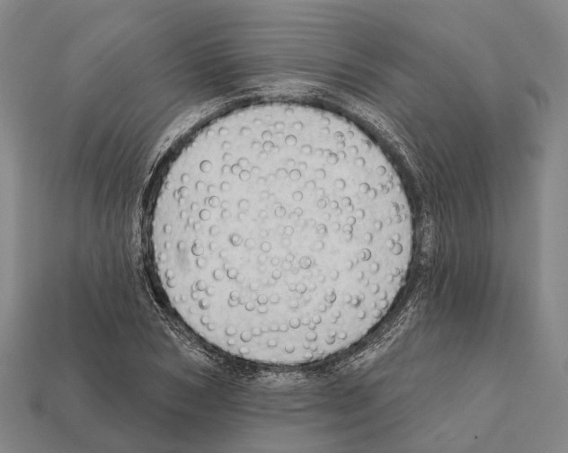 X0000111910978200909071153