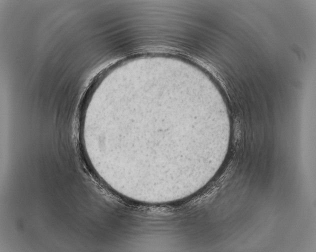 X0000111910979200909071153