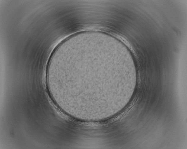 X0000111910980200909071153