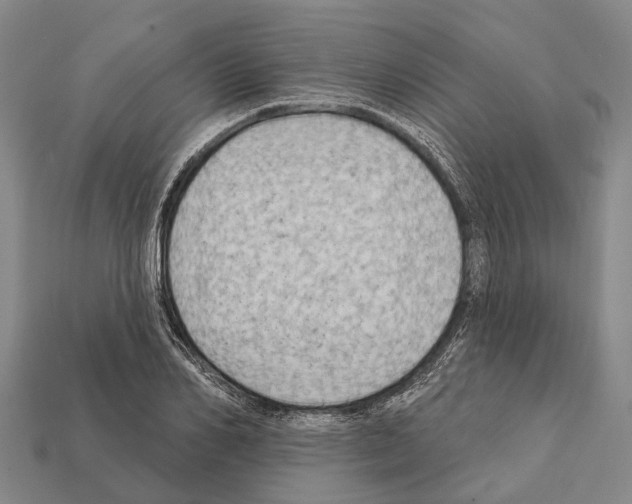 X0000111910982200909071153