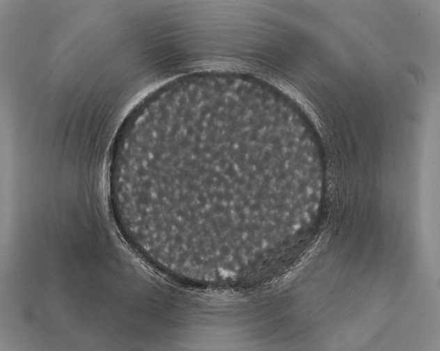 X0000111910983200909071153