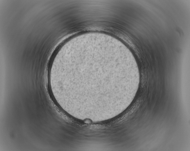 X0000111910984200909071153