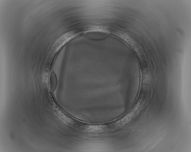 X0000111910985200909071153