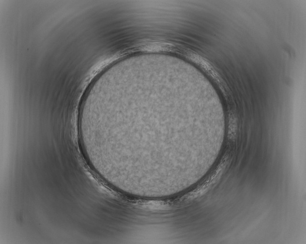 X0000111910986200909071153