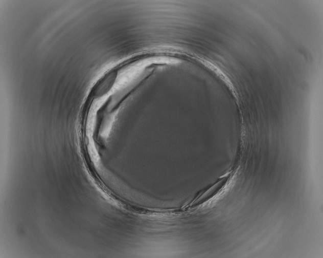 X0000111910989200909071153