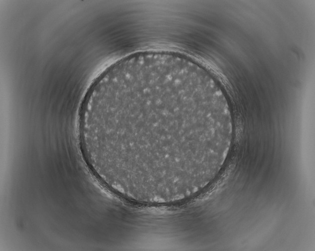 X0000111910990200909071153