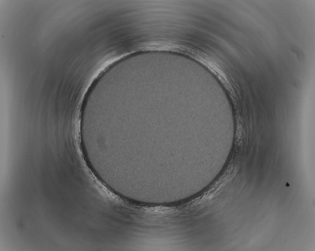 X0000111910992200909071153