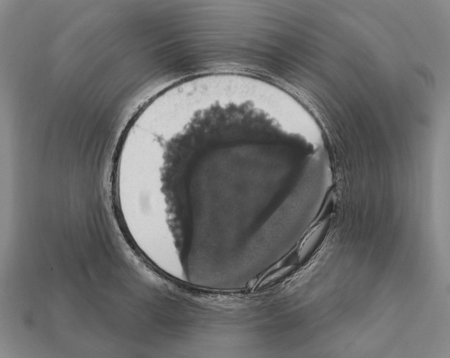 X0000111910995200909071153