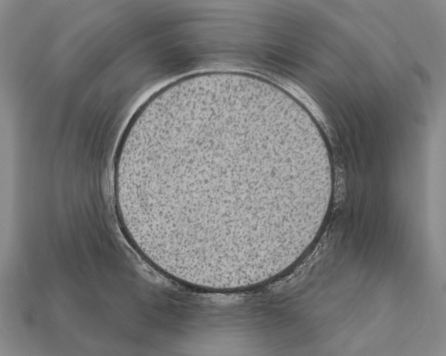 X0000111910996200909071153