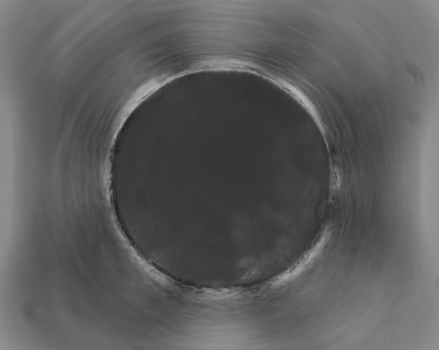 X0000111910997200909071153