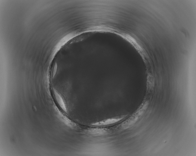 X0000111910998200909071153