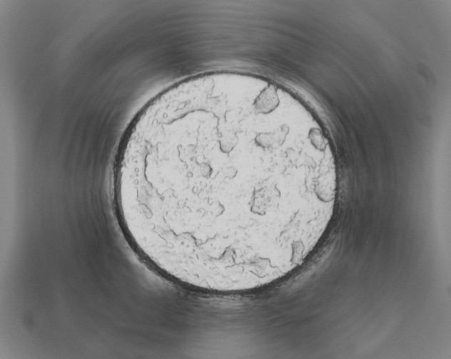 X0000111910999200909071153