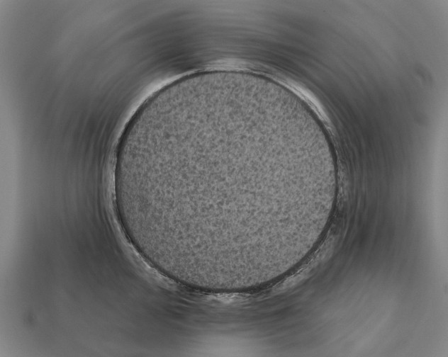X0000111911000200909071153