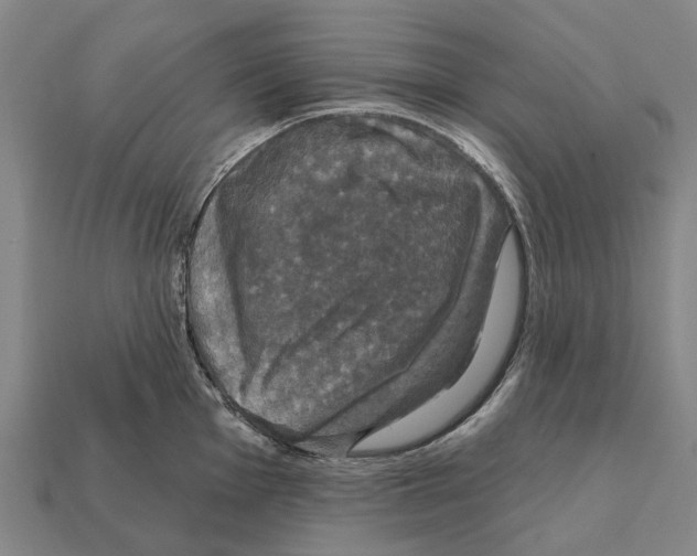 X0000111911001200909071153