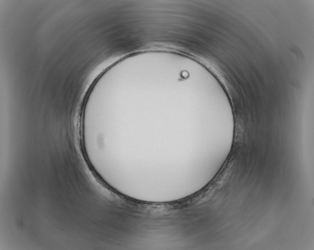 X0000111911003200909071153