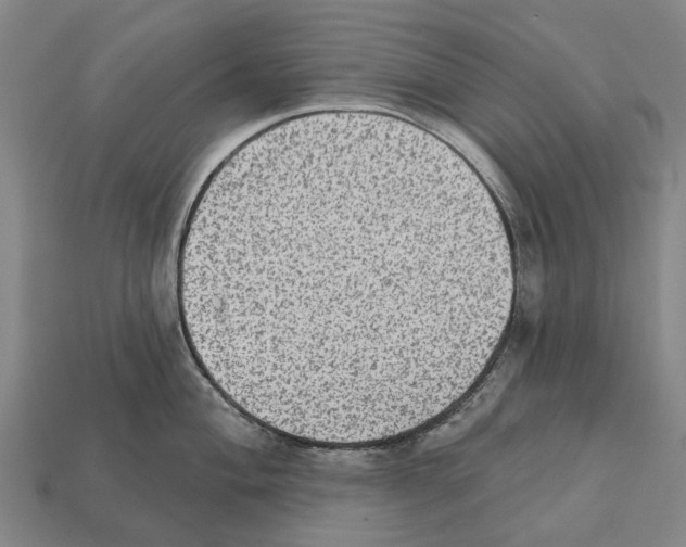 X0000111911004200909071153