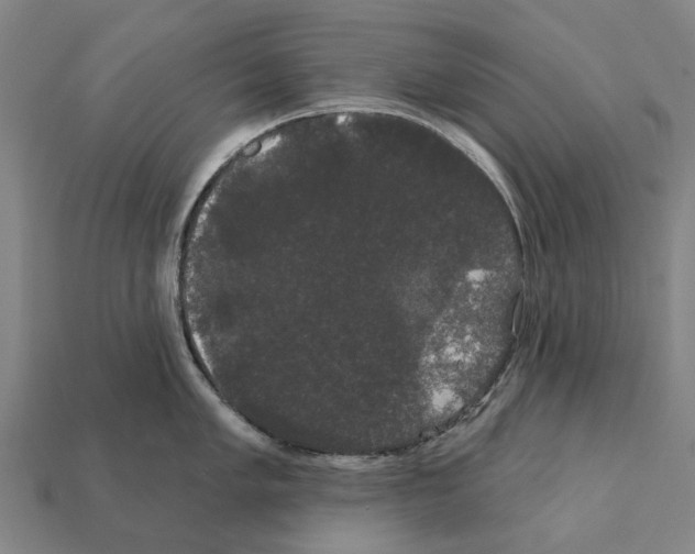 X0000111911005200909071153