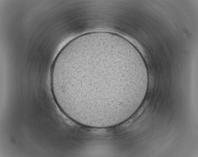 X0000111911006200909071153