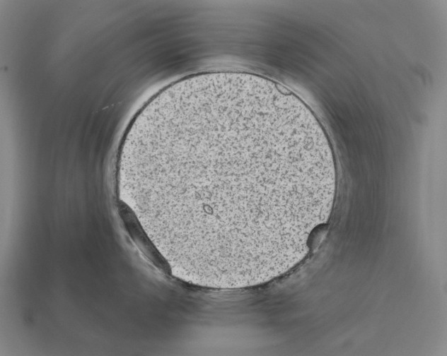 X0000111911008200909071153
