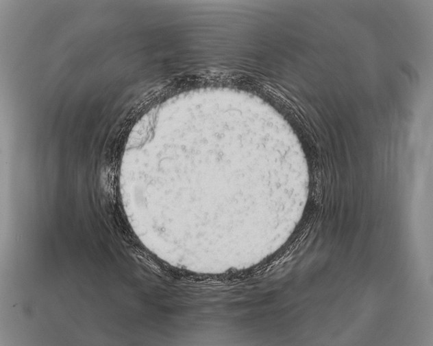 X0000111911010200909071152