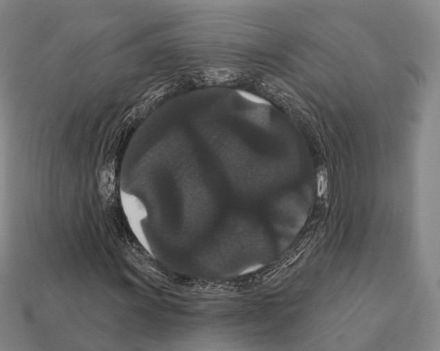 X0000111911011200909071152