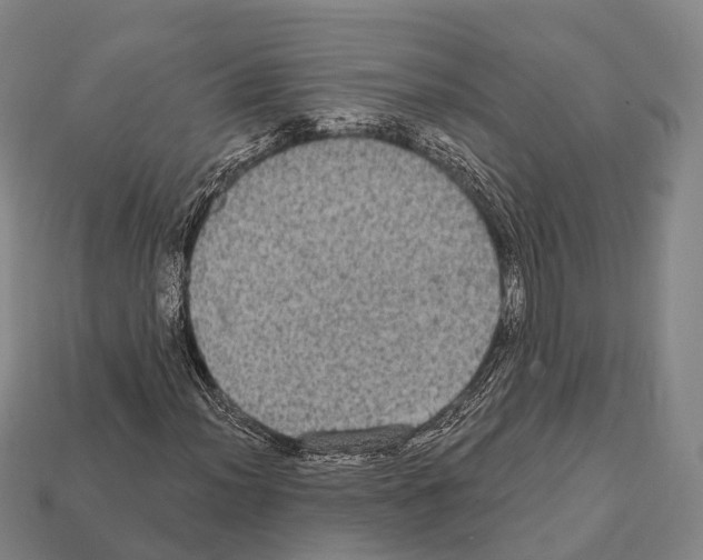 X0000111911012200909071152