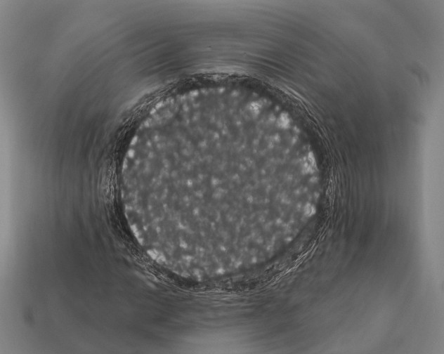X0000111911014200909071152