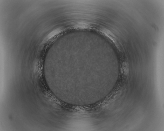X0000111911015200909071152
